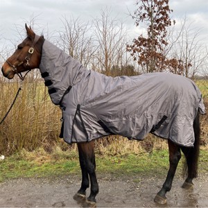 AB Winterdeken Combo Check 300 gram